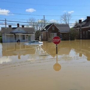 abdde sel 3 olu rQu6e5Yl