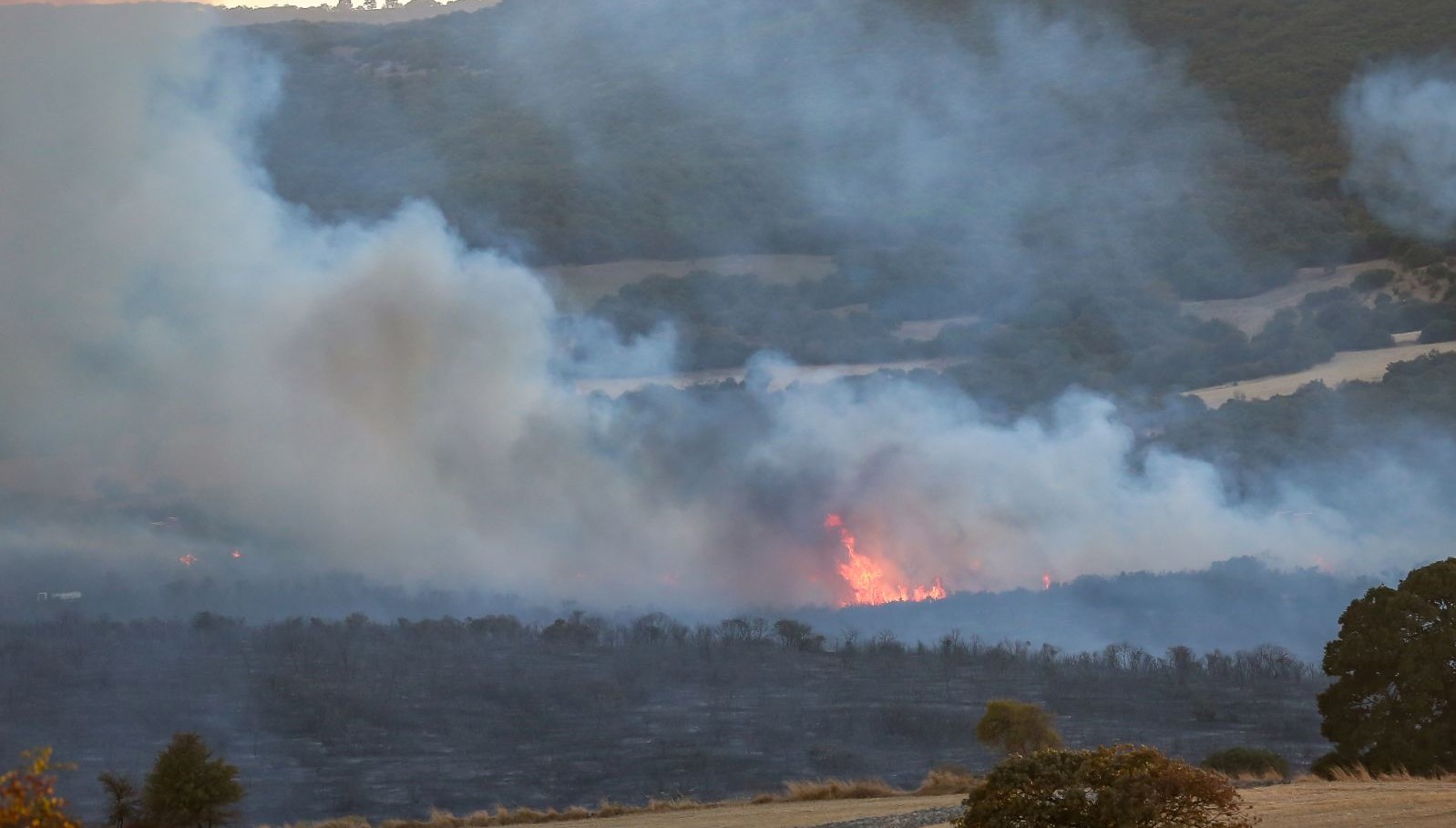 balikesirde orman yangini ekiplerin mudahalesi suruyor iTNlfvzh