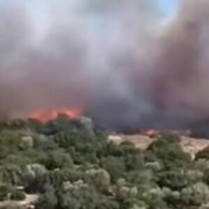 izmirde makilik yangini havadan ve karadan mudahale suruyor QsmAbxX4