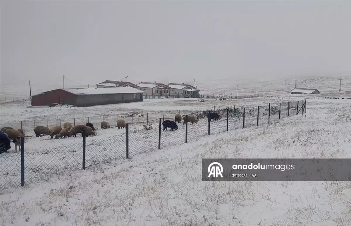 dogu karadenizin yuksek kesimleri beyaza burundu 7ImhNgww