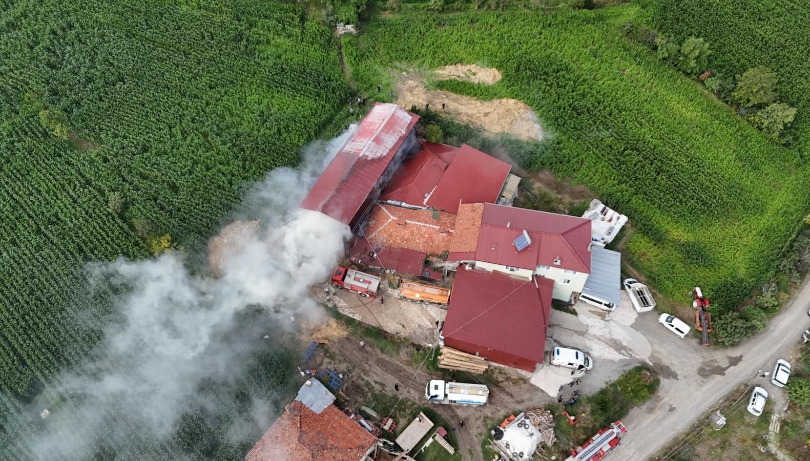 samsunda samanlik yanginda hasar gordu 5ux5t4bc