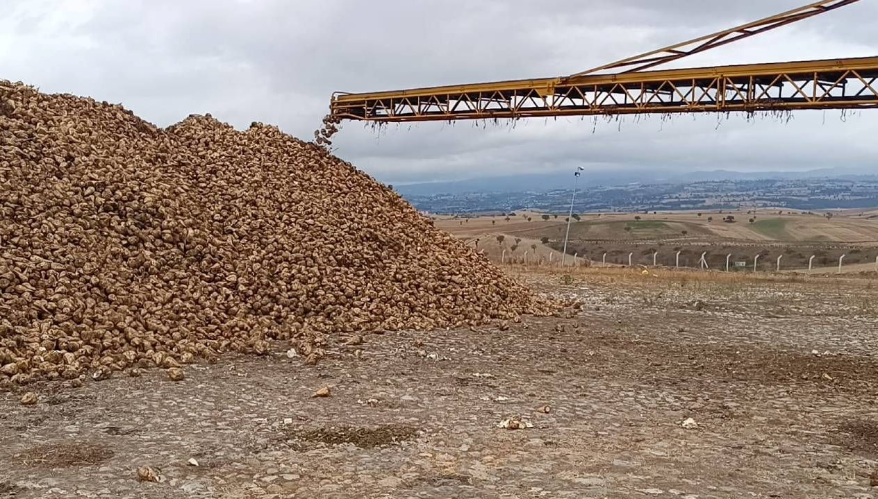 samsunda seker pancari hasadi basladi HTCQMnm1