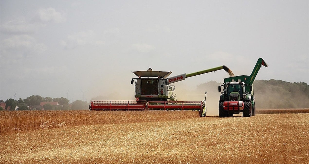 tuik acikladi ayva kivi ve turuncgillerin fiyati yuzde 131 artti 4xVqLUsp