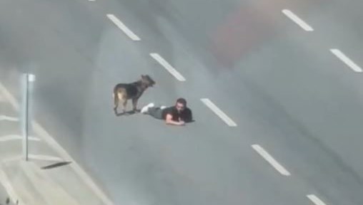 yolun ortasinda surunerek ilerledi b9NtOWxa