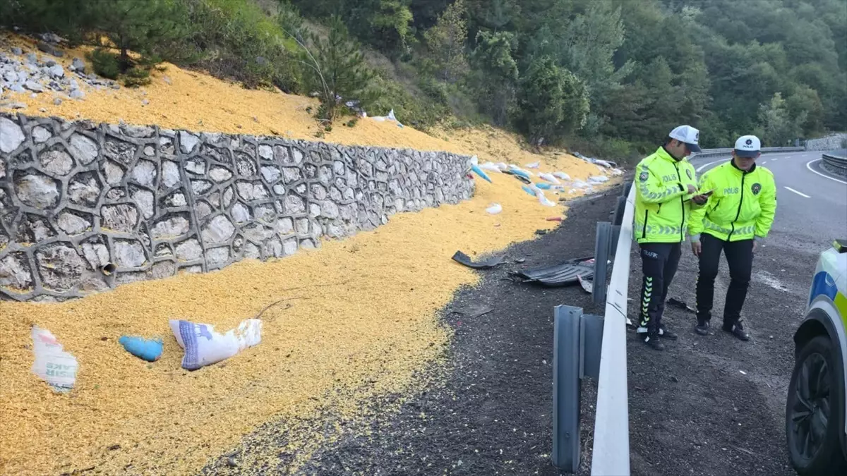 bursa inegolde hayvan yemi yuklu tir devrildi 2 agir yarali Ty5sGV4A