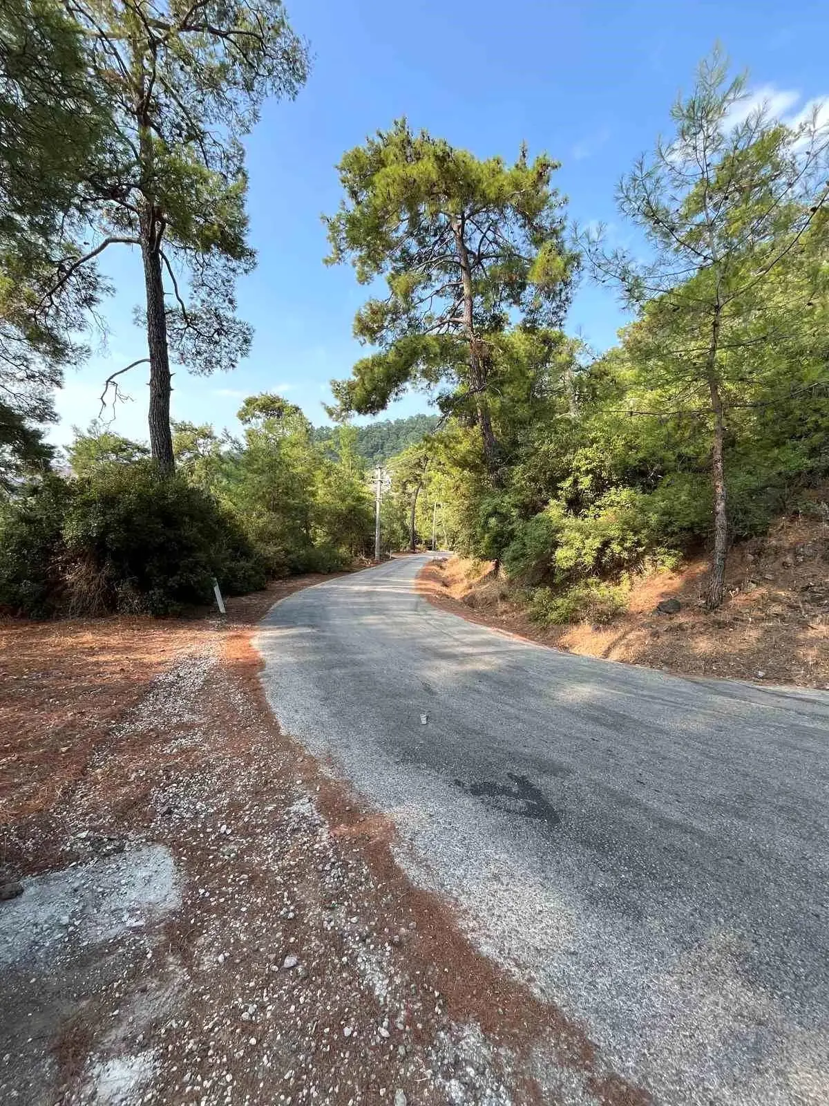 marmariste yangin onleme calismalari yayginlasirken i8rjgGpG