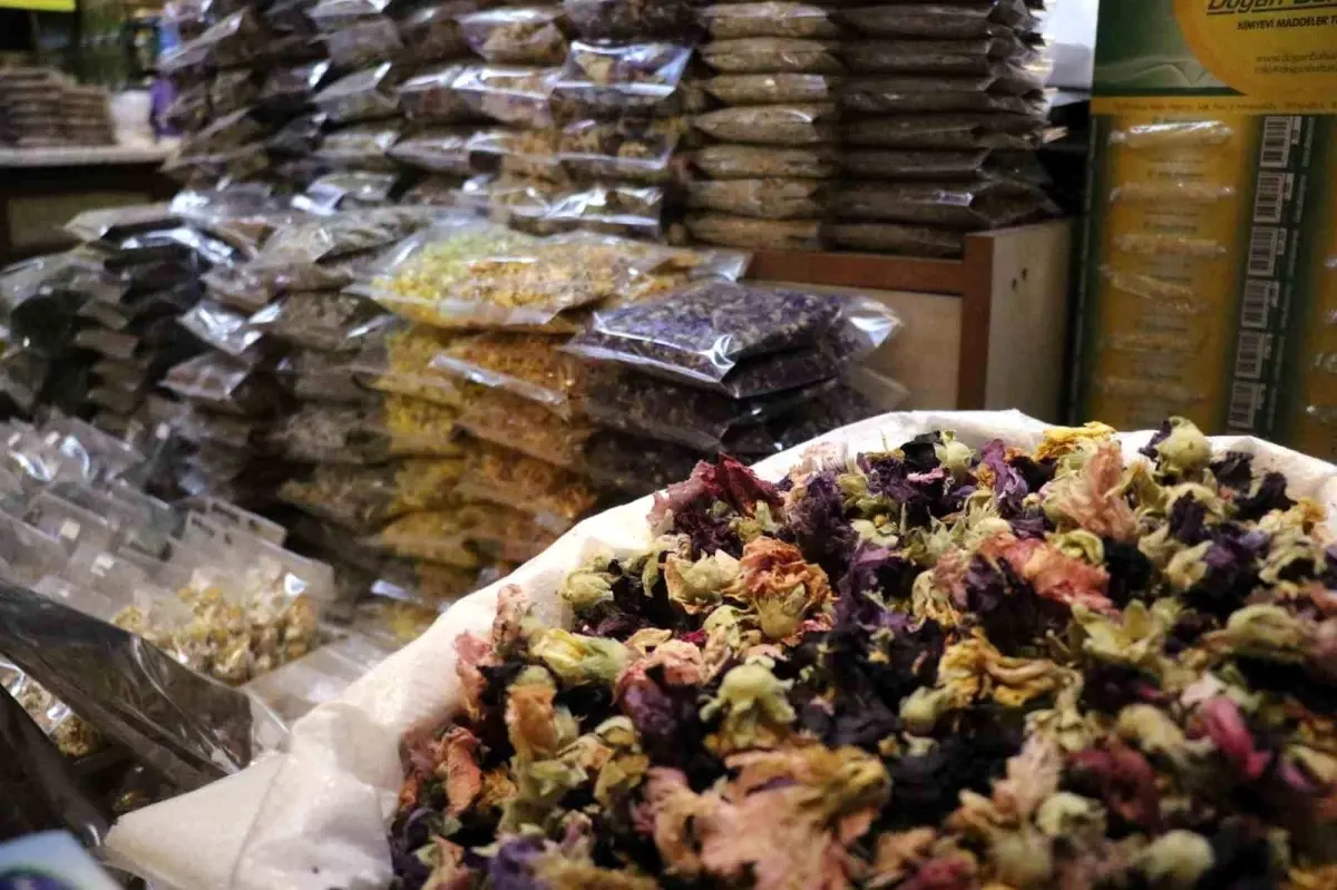 sakaryada soguk alginligina karsi aktarlara yogun ilgi AVgFm5Wl