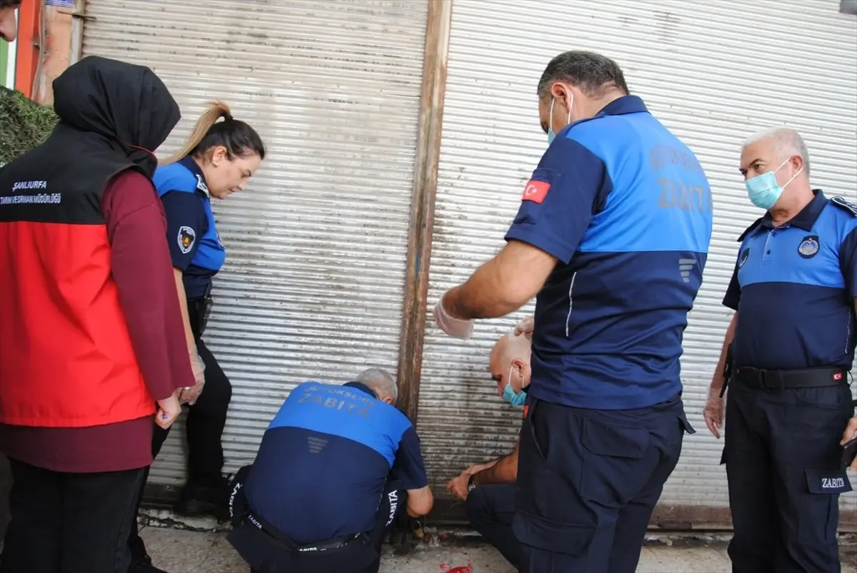 sanliurfada 1 ton bozulmus et ele gecirildi lRPpAQN2.jpg