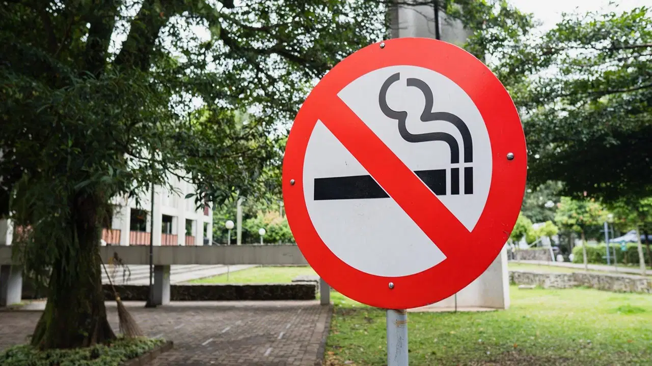 boluda cocuk parklarinda sigara icmek yasaklanacak dxOKtHRv.jpg