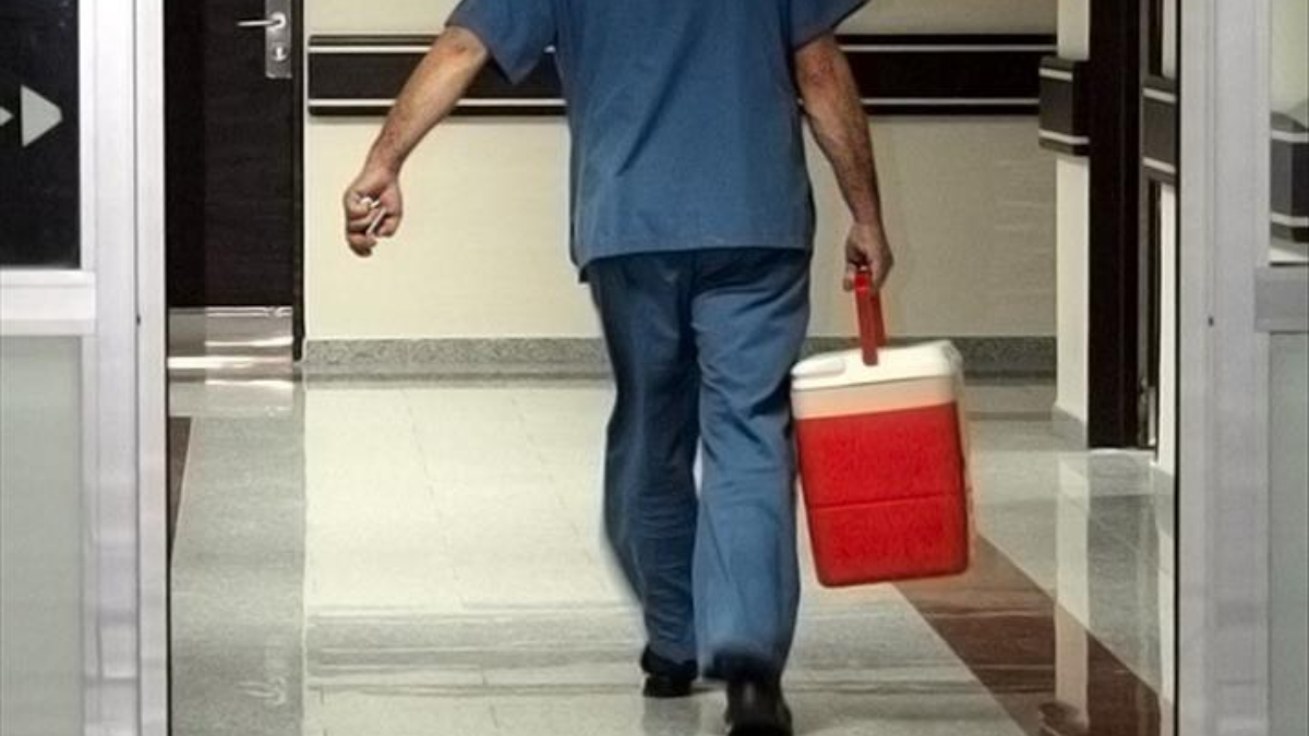 turkiyede 33 bine yakin hasta organ nakli bekliyor Oh5Eiyx5.jpg