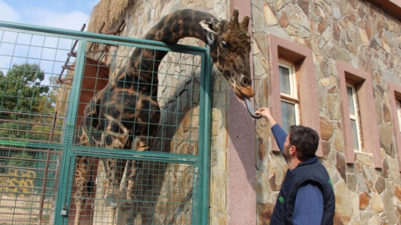 Gaziantep Hayvanat Bahçesi’ndeki Hayvanların Durumu TBMM’de Tartışılıyor