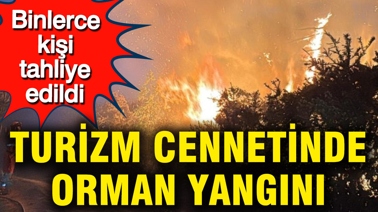 Toskana’da Orman Yangını: Binlerce İnsan Tahliye Edildi
