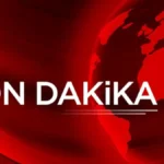 Böcek ailesinin ölümüne ilişkin mahkemeden karar!