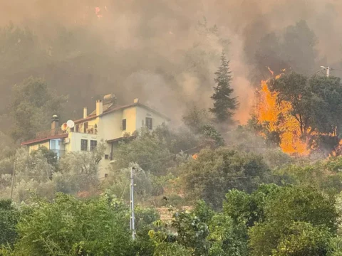 Muglada orman yangini alevler evlerle ulasti yurttaslar tahliye ediliyor 5Pn2O5Or